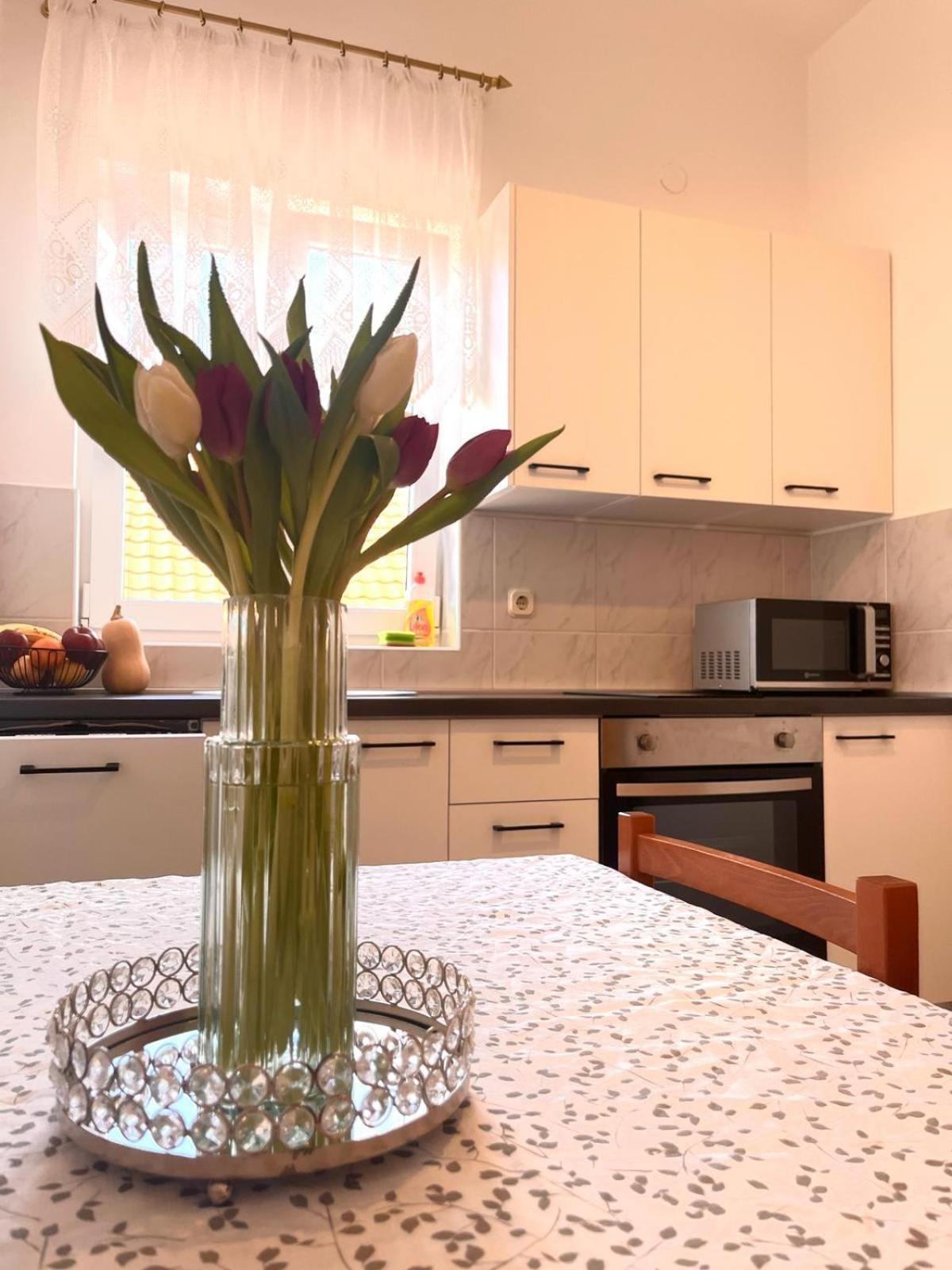 Family Holiday Apartments Lucia Vodice Zewnętrze zdjęcie